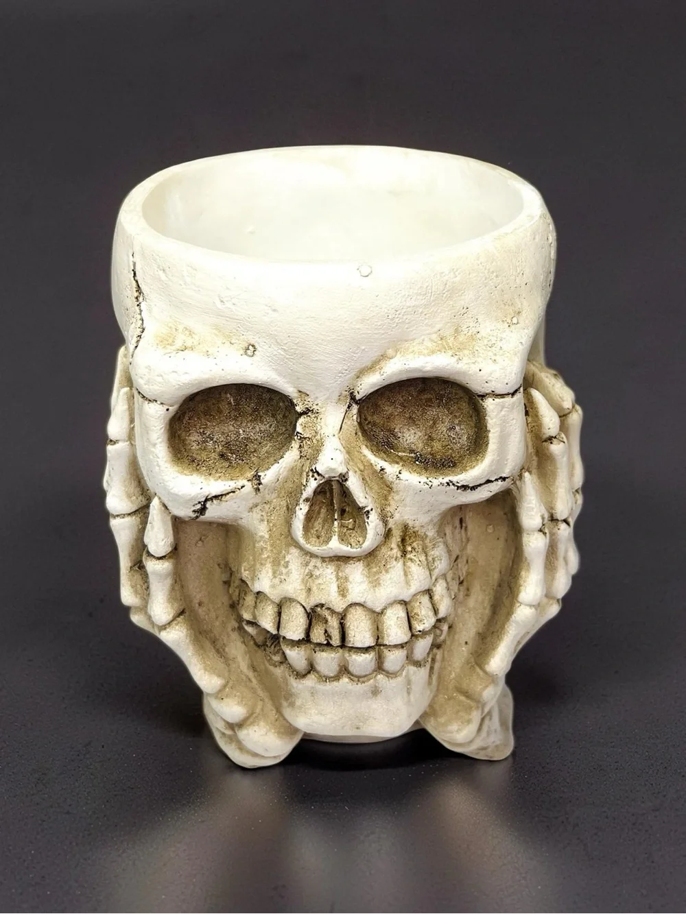 Gothic Resin Skull Flower Pot Planter